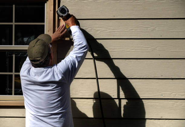 Affordable Siding Repair and Maintenance Services in Lyons, IL